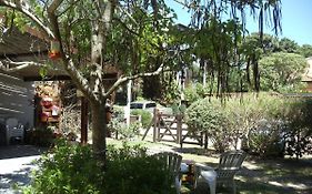 Dandy Suites